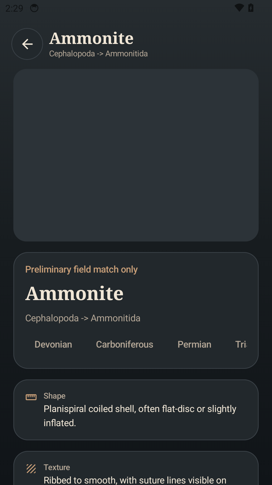Fossil identifier filters